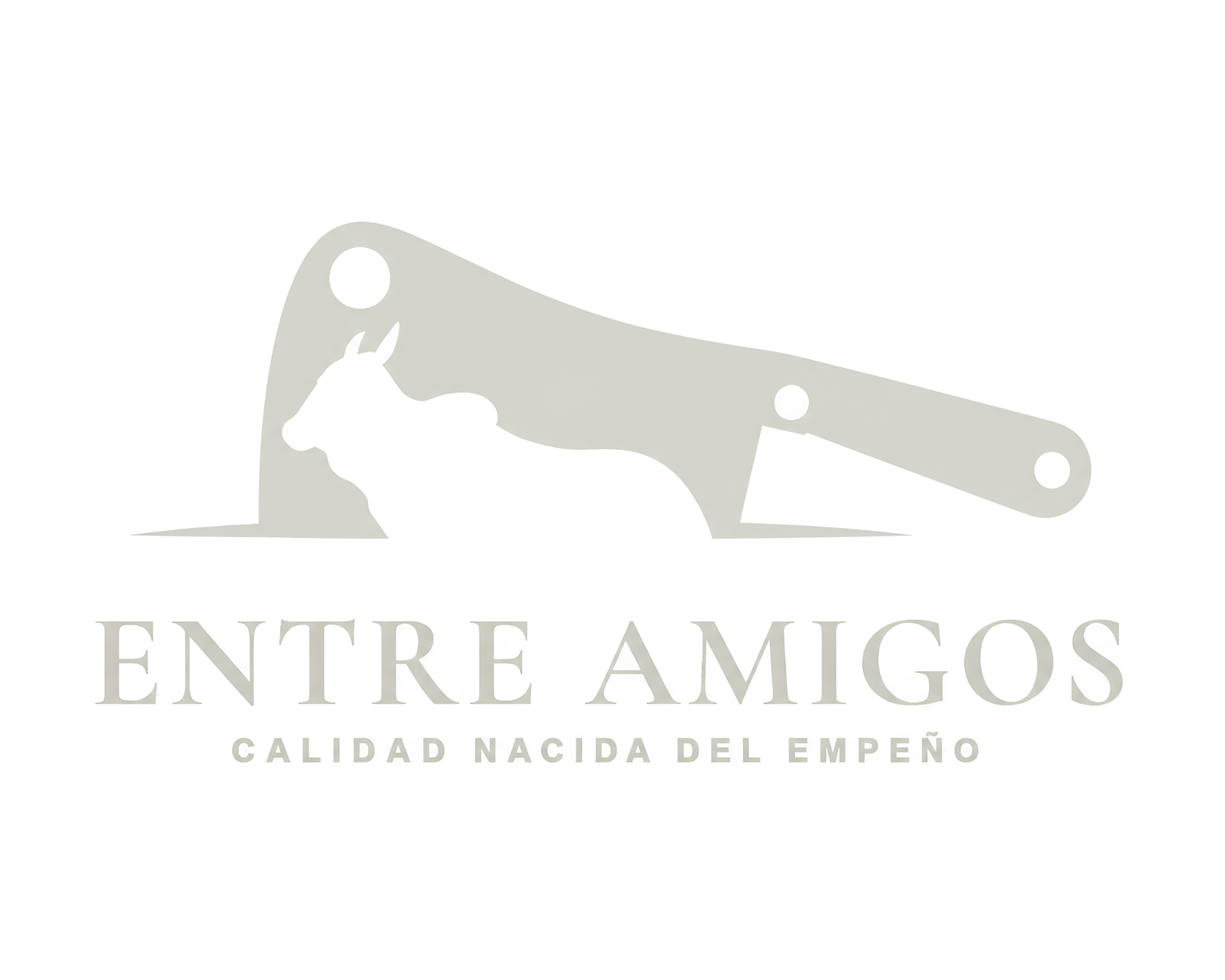 entreamigosss.com